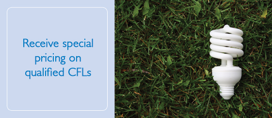 Energy-Efficient Light Bulbs