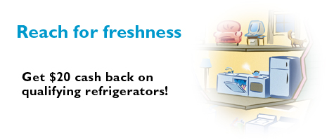 Refrigerators Main Graphic